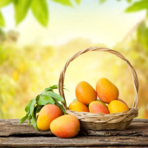 Salem Bengalora Mangoes